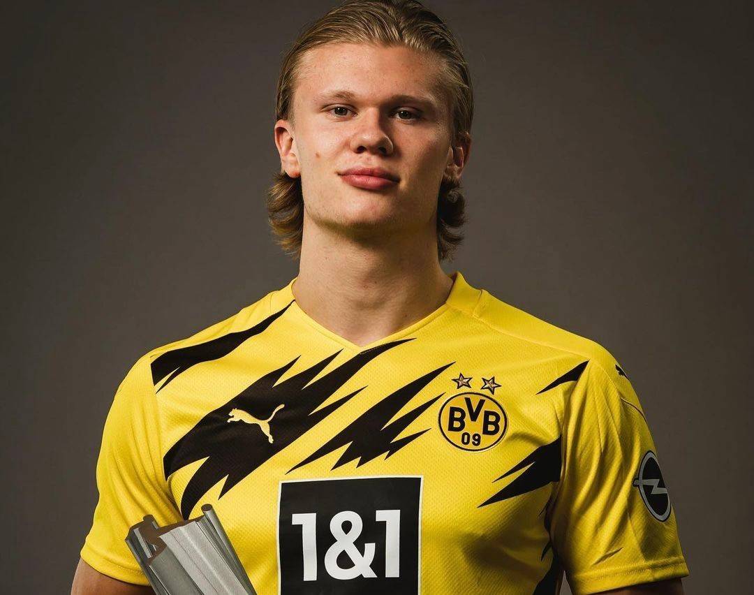 文化资产 文化资产