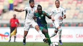 公鸡客场逆 公鸡客场逆