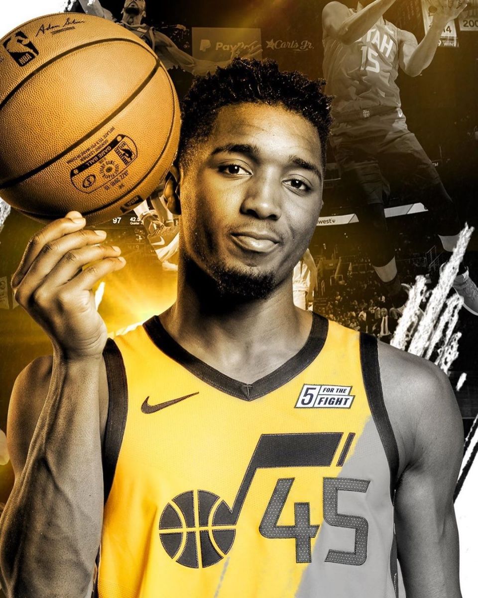 解析亚利桑那响尾蛇的防御韧性体系